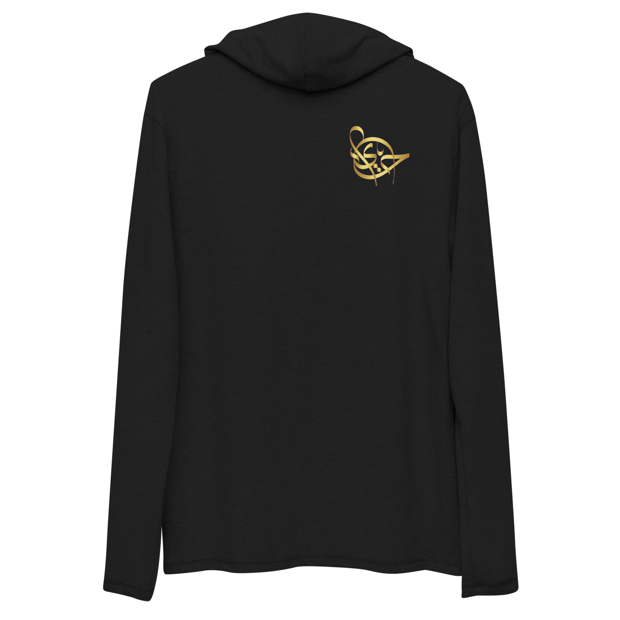 unisex-lightweight-hoodie-black-back-62a2fa45a9316.jpg